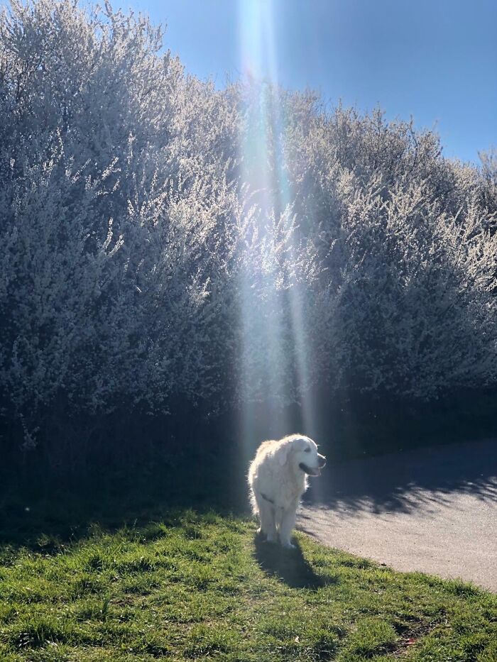 That Glare, Though—Nature’s Flash!