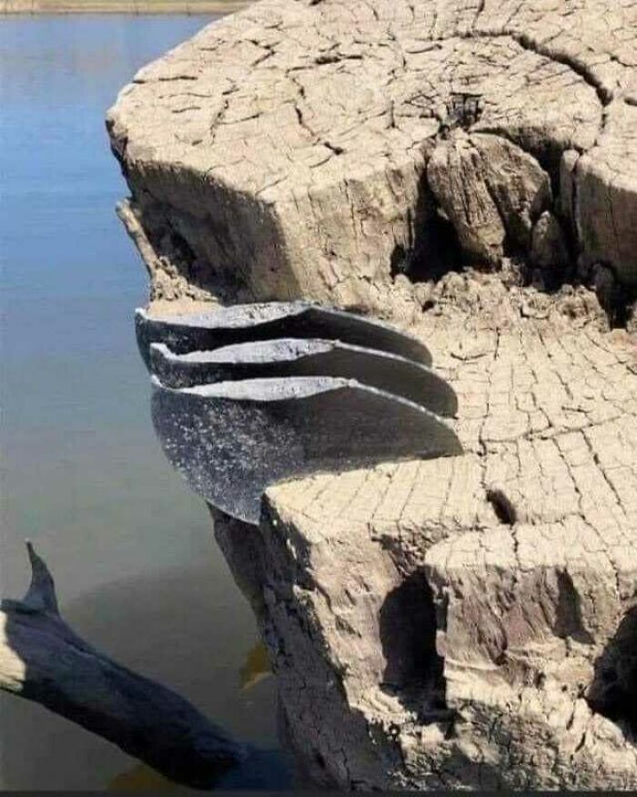 Lake Level Drop Reveals Underwater Propeller Tree Stunt