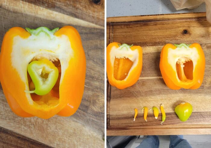 A Pepper Party: 6 Peppers Growing All-In-One