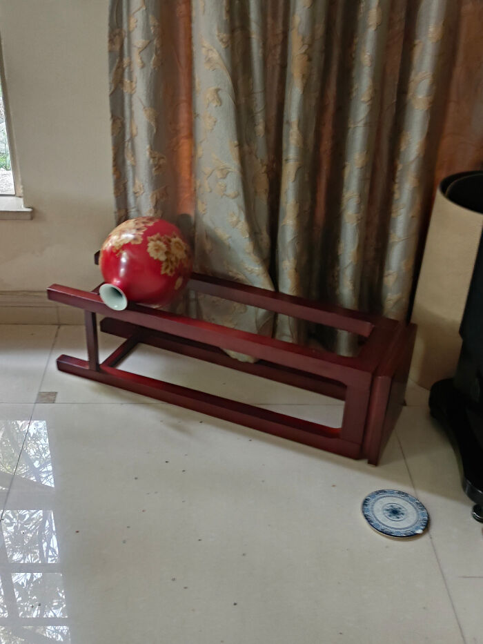 Seriously, How Is This Cat Even Doing That? Physics, Please Explain!