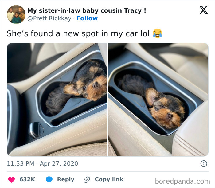 Perfect Fit Alert: This Just Snugged Right In