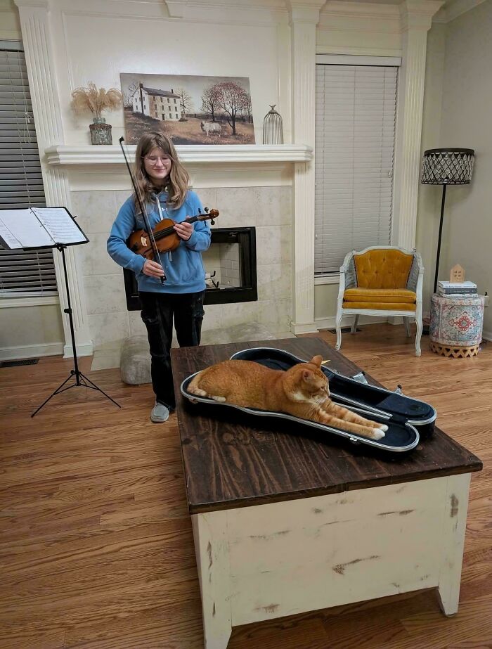 Cat’s New Favorite Violin Case Hangout Spot