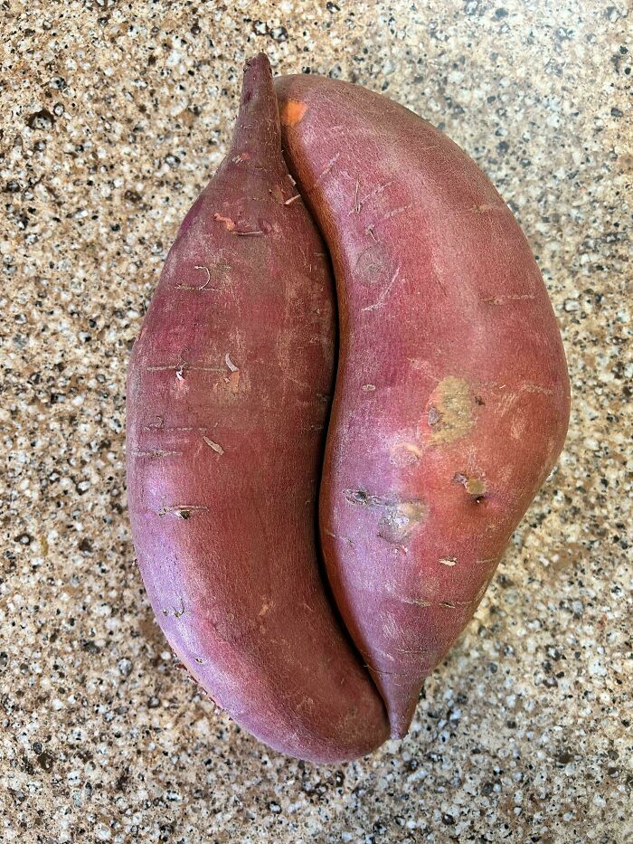Two Sweet Potatoes Stumbled Into Each Other's Orbit Perfectly