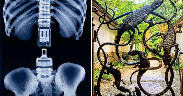 Wait, They Actually Made These Genius Designs?