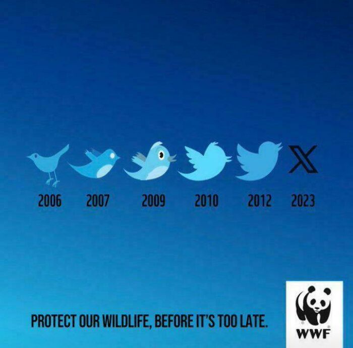 WWF’s Twitter Bird Turns Into An X – Ouch!