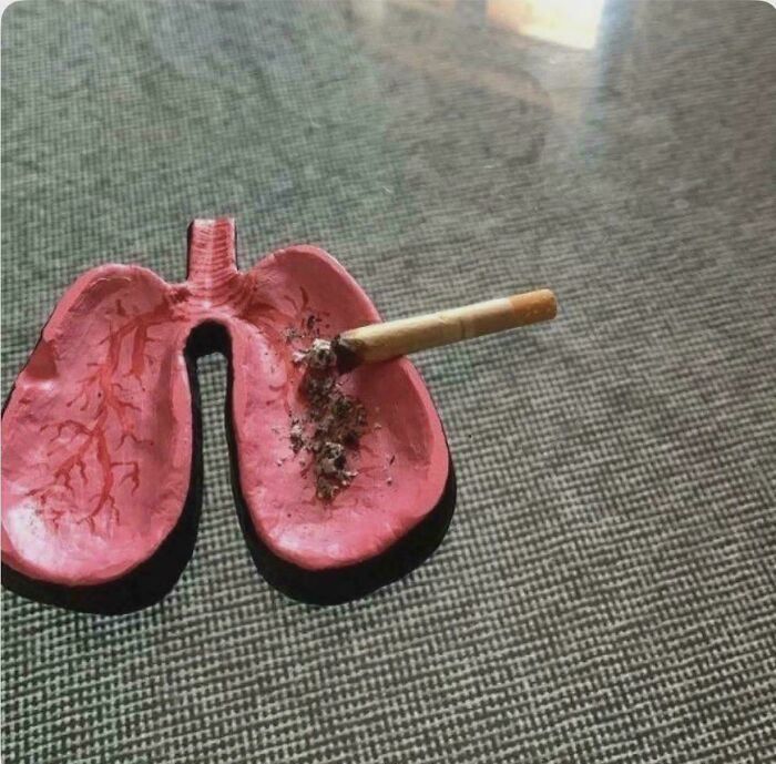 You’ll Totally Love This One