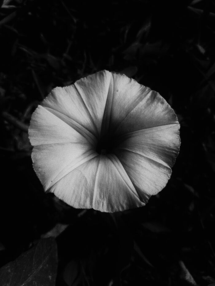 Check Out These 6 Gorgeous Flower Pics That Totally Stole Our Hearts