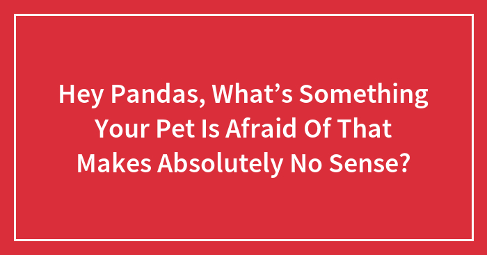 Pets vs. Weird Scares: The Funniest Freak-Outs Ever