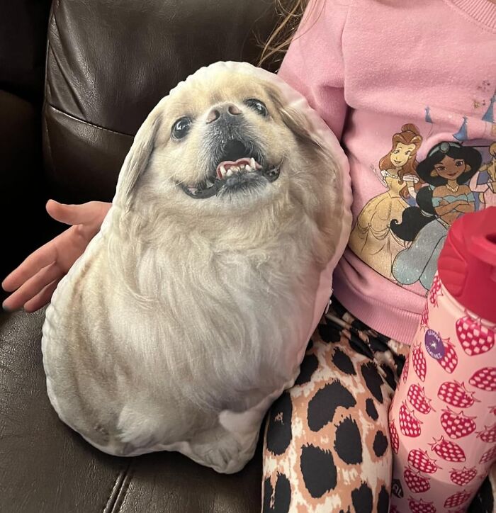 Custom Pet Pillow That’s A Snuggly, Shed-Free Version Of Your Pet