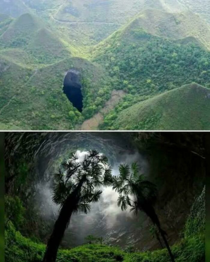 Secret Underground Forest Discovered 197 Meters Deep – It's Like A Hidden World!