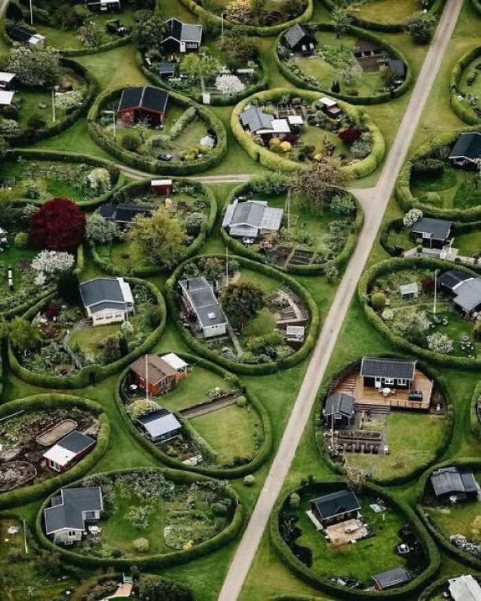 Every House Gets A Garden And A Tree Fence In This Danish Dream Neighborhood