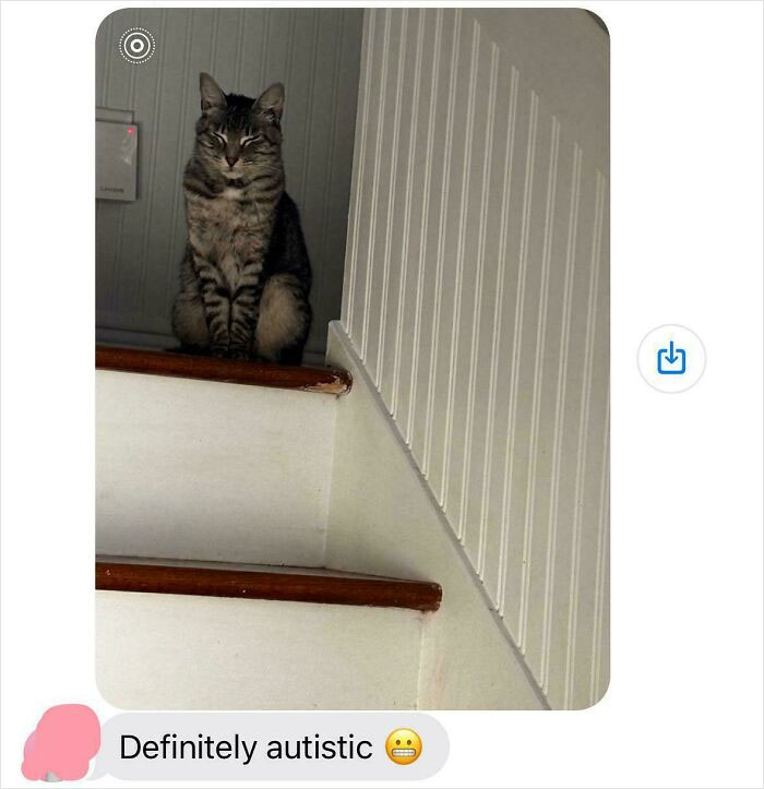 Mom’s Suspicious About My Cat — And It’s Hilarious