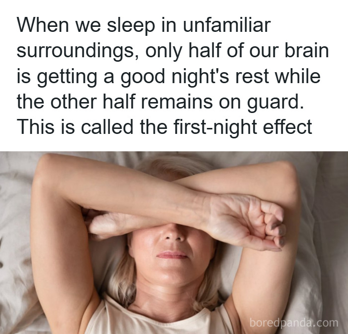 50 Psychology Facts That'll Totally Surprise You (And Make You Go Huh!)