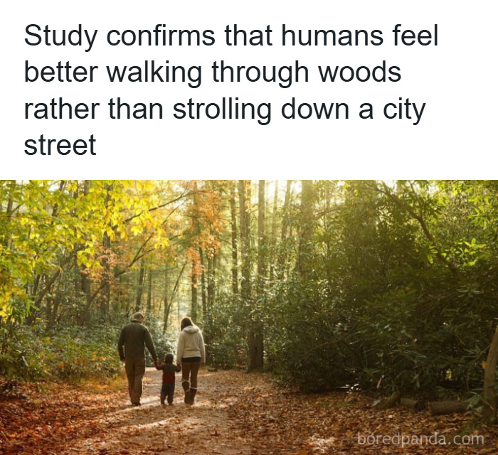 50 Psychology Facts That'll Totally Surprise You (And Make You Go Huh!)