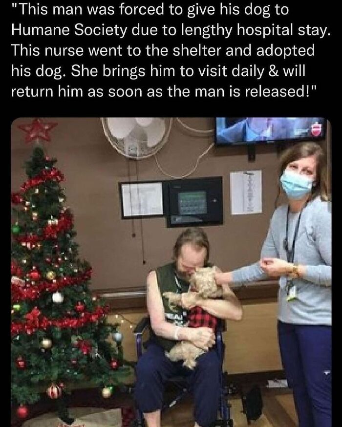 Let's Peek at 50 Hilarious Animal Memes That'll Totally Make Your Day