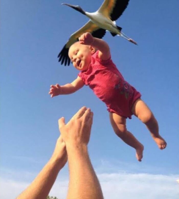 Let's Peek at 50 Hilarious Animal Memes That'll Totally Make Your Day