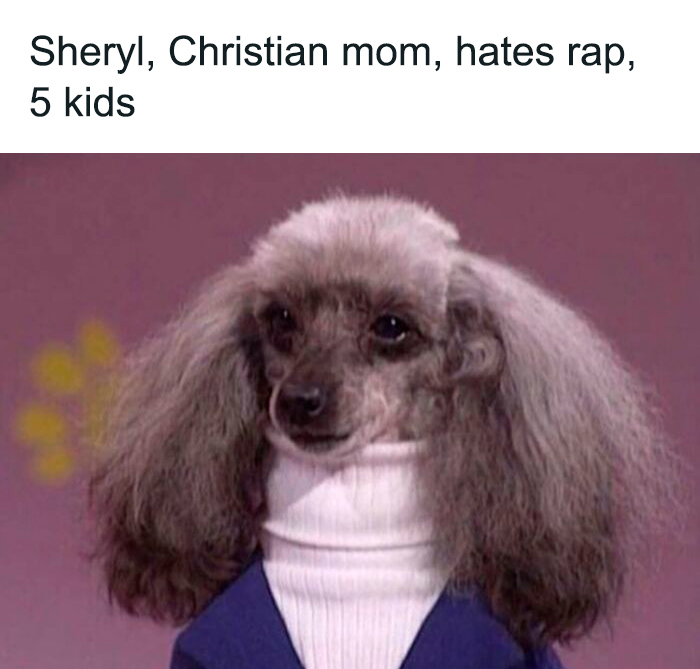 Let's Peek at 50 Hilarious Animal Memes That'll Totally Make Your Day