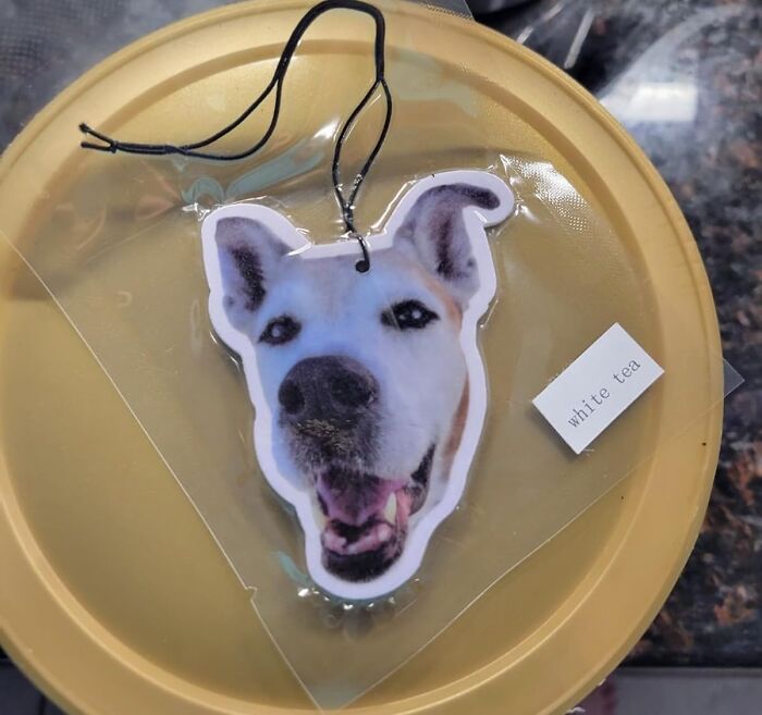 Give Your Friend’s Pet The VIP Spot On Their Car Mirror With This Custom Air Freshener