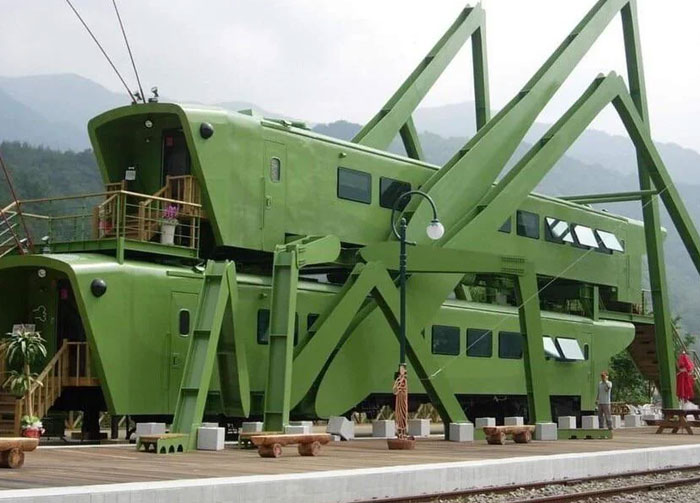 Grasshopper Cafe? Yup, It’s a Thing in South Korea