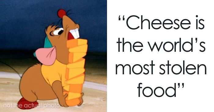 Wait, They Actually Ranked Those Crazy Facts?!