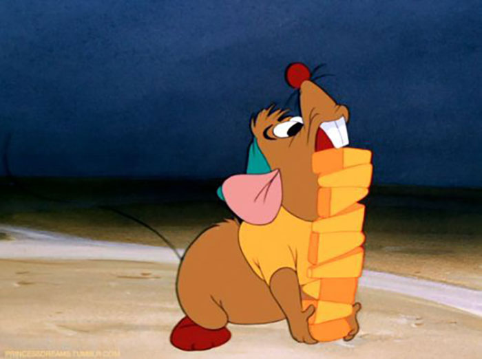 Wait, They Actually Ranked Those Crazy Facts?!