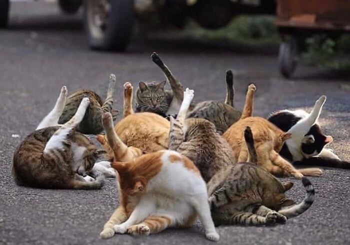 The Whole Class Has Questions; One Is REALLY Urgent