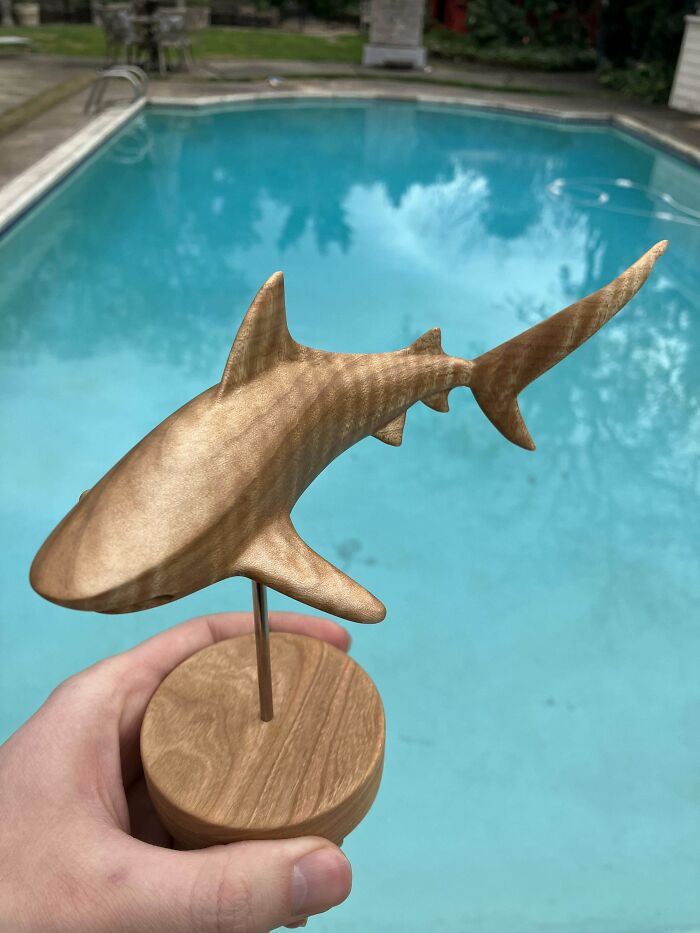 I Carved A Tiger Shark And It’s Basically Ready To Hunt Your Living Room