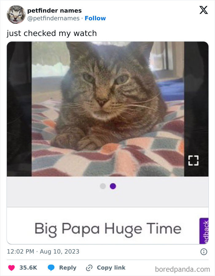 The Funniest Pet Names That’ll Totally Make Your Day