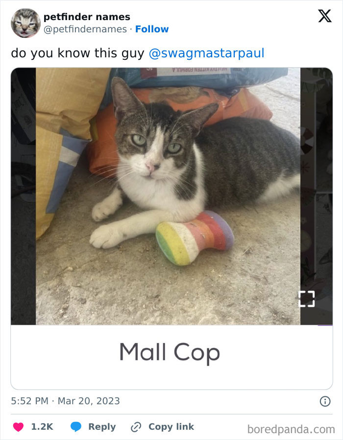 The Funniest Pet Names That’ll Totally Make Your Day