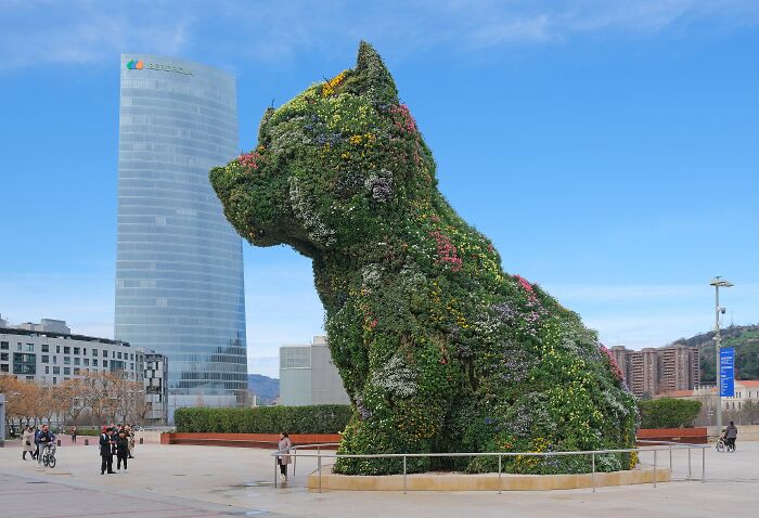 Puppy, Bilbao, Spain