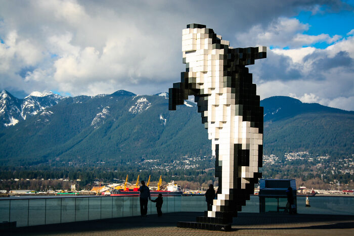 Digital Orca, Vancouver, Canada