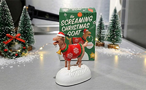 19 Weirdest Gifts That Will Crack Up Your Funniest Friend
