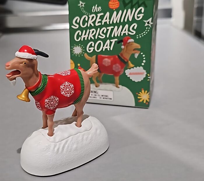 The Screaming Christmas Goat: Festive Carols Just Got Surprisingly Loud