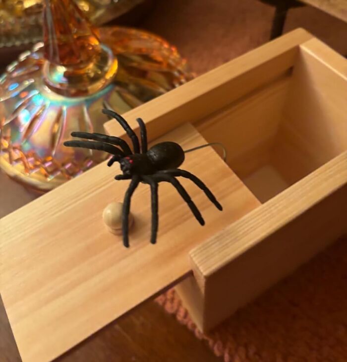Spider Prank Box: Guaranteed Heart-Racing Surprise (Spiders Included!)