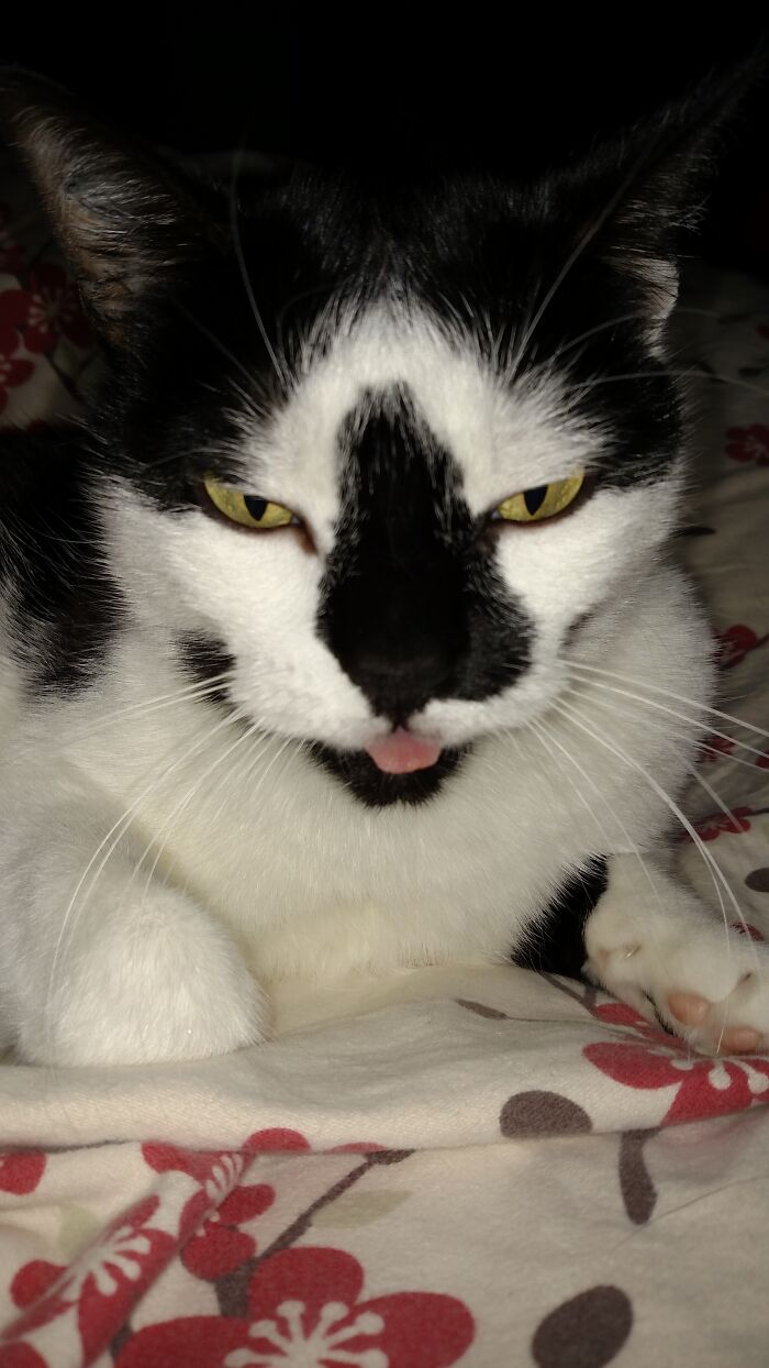 23 Years Young and Owning It