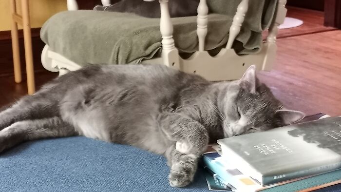 Abby Gets Sleepy Reading