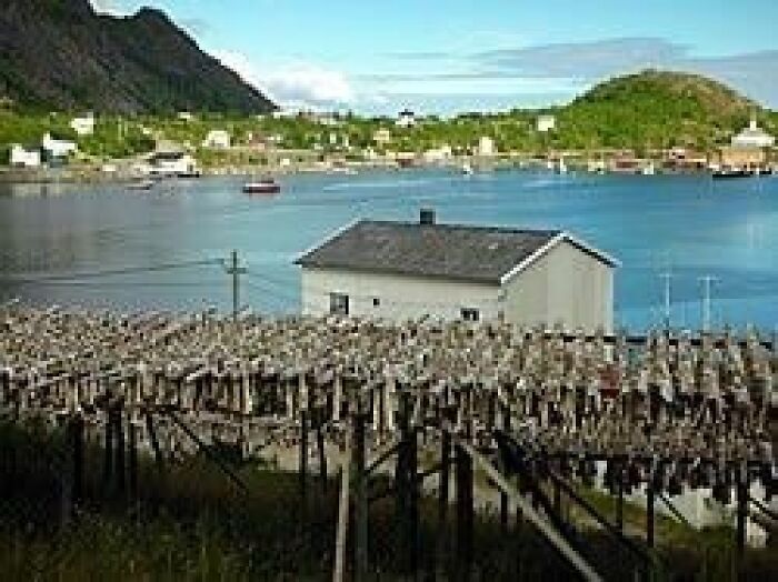 Wait, These Inventions Are Only a Thing in Some Countries?!