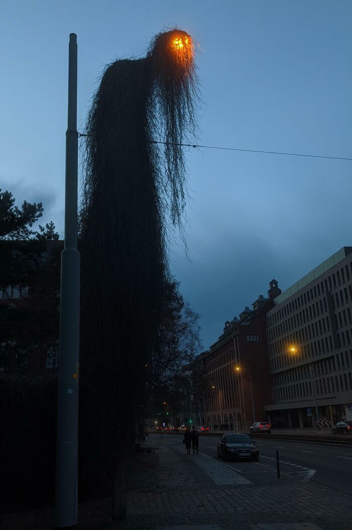 This Street Lamp Is Straight-Up Weird