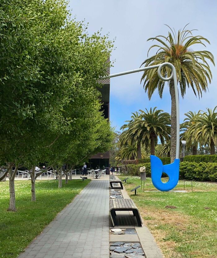 De Young Museum On A Not-So-Normal Saturday