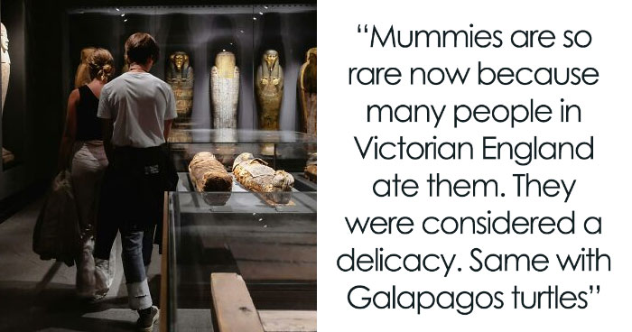 Wait, They Actually Ranked These Wild Historical Facts?!