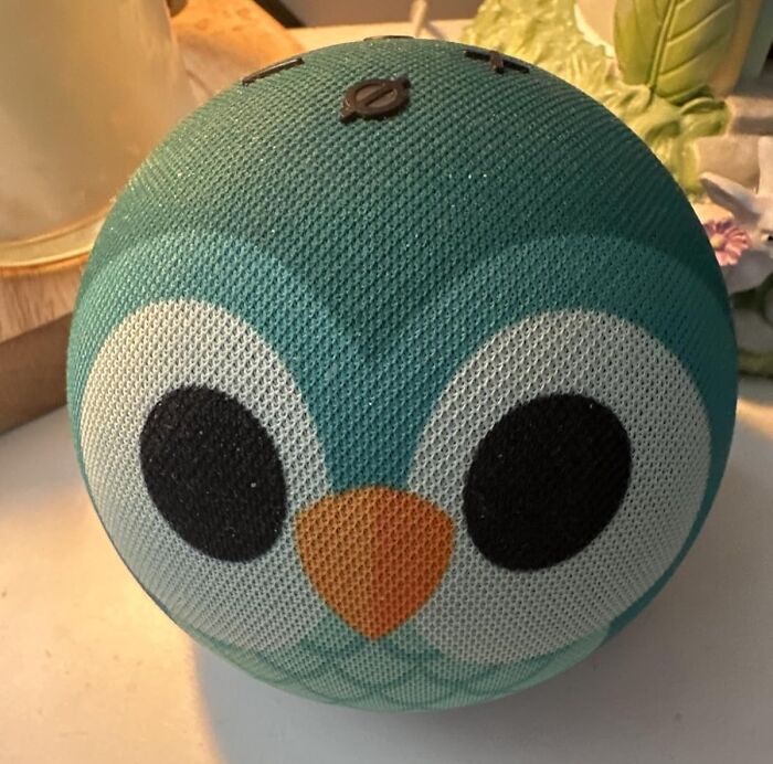 Homework Helper (And Joke Teller): The Amazon Echo Dot Kids