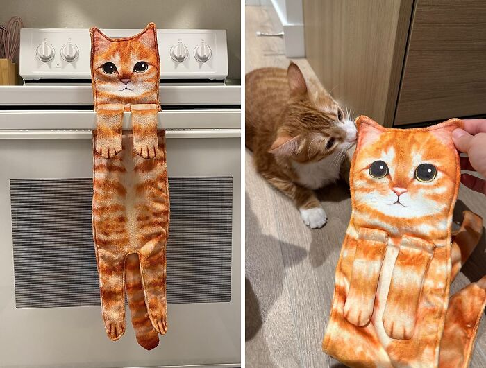 Cat Kitchen Towel: The ’Hang In There’ Poster You Can Wipe Your Hands On