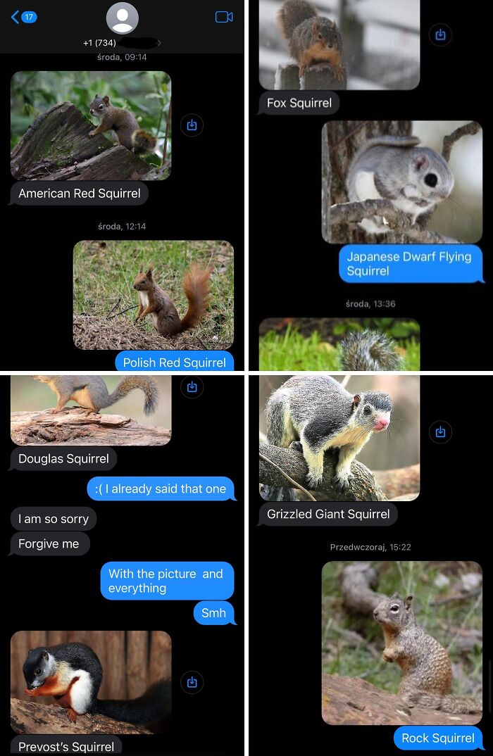 Random Person And I Battled Over Squirrel Pics. No Idea Who They Are But It’s The Best Thing Ever