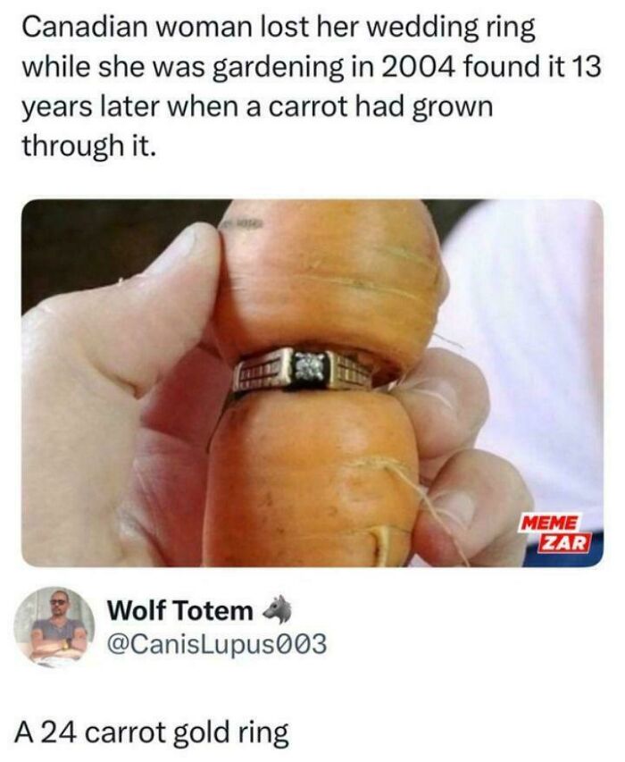 Found My 24 Carrot Ring (Minus The Gold)