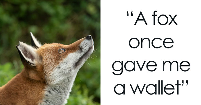 Wait, People Actually Saw These Wild Things?!