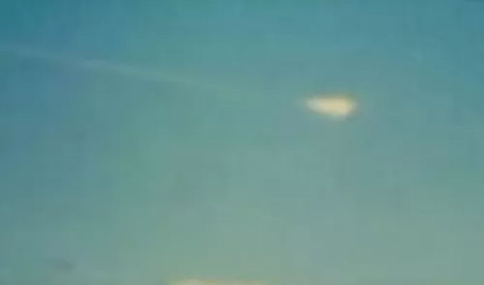 Wait, People Actually Saw These Wild Things?!