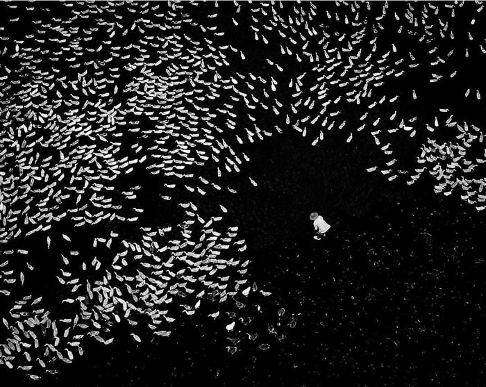 Get Ready to Smile: 30 Animal Pics That Are Too Cute to Handle