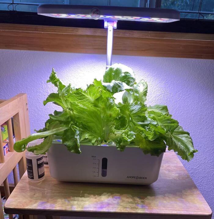 This Hydroponics Growing System Lets Her Grow Herbs Like A Futuristic Gardening Wizard