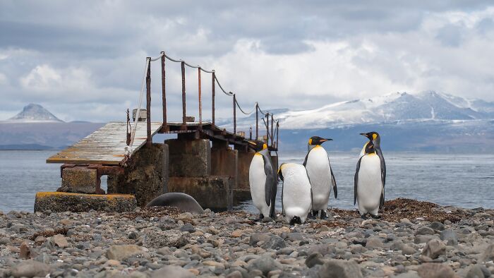 The Kerguelen Islands, French Antarctica