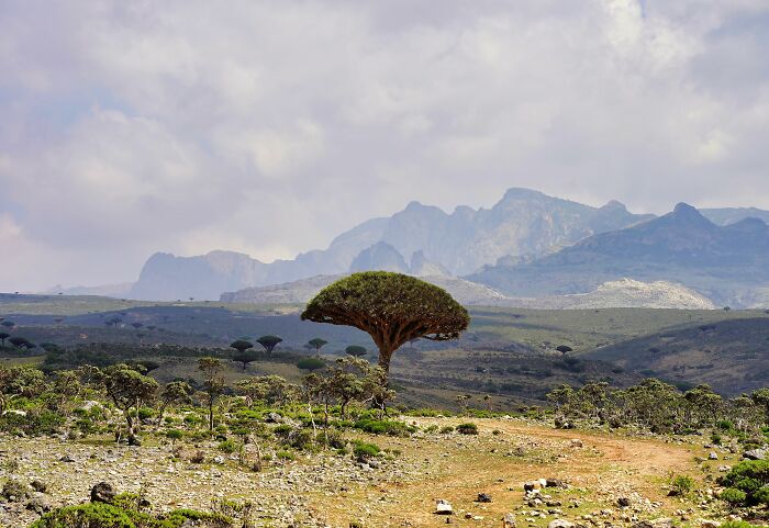 Socotra Island, Yemen